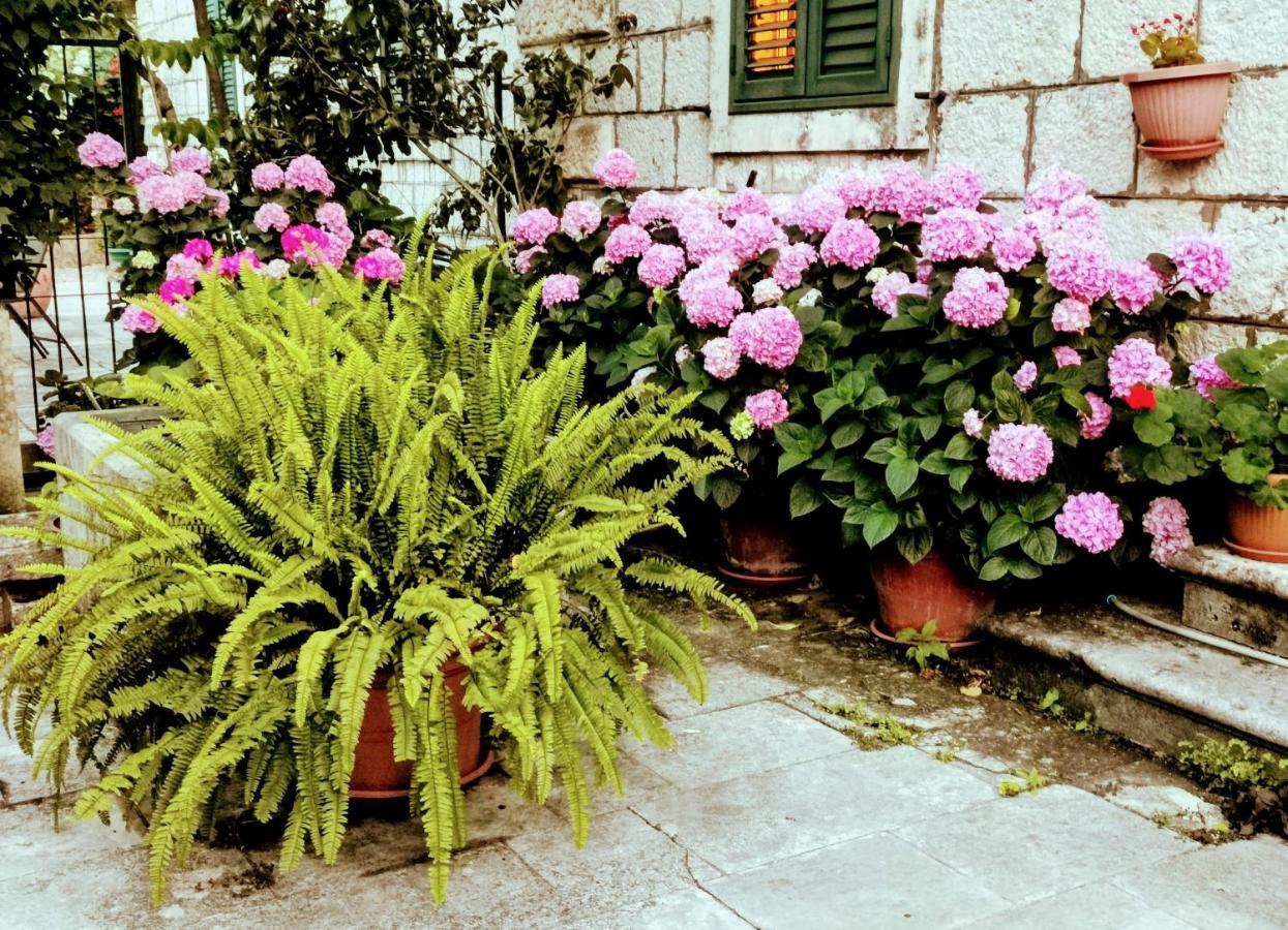Apartments Sensa Dubrovnik Exterior foto